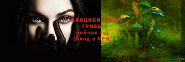 соль ск Абдулино