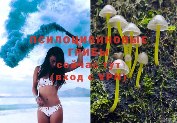 соль ск Абдулино